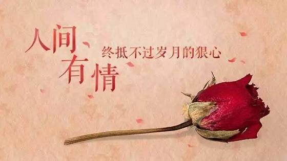 卡卡湾电投网投_分分28开奖官方网址。