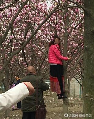 钻石娱乐网站_友情推荐：ag百家乐官网