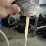 i5x8t70h